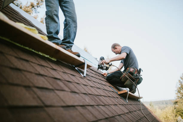 Best Roof Gutter Cleaning  in Bromley, KY